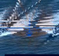 Rathmines Catalina Festival - Accommodation in Bendigo