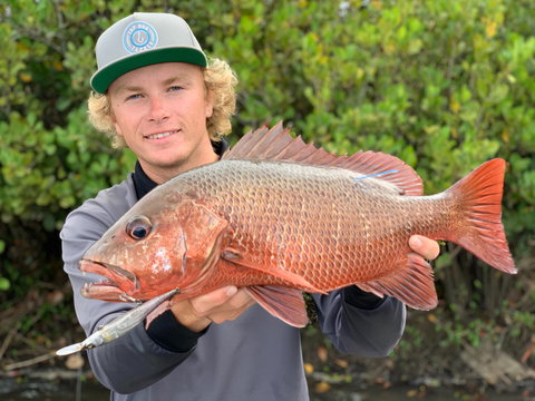 SCF Research And Sustainability Competition - Accommodation in Bendigo 0