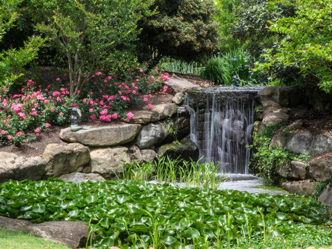 Spring Time At Hunter Valley Gardens - Accommodation in Bendigo 1