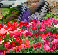 Spring Fling - Accommodation in Bendigo