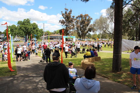 Taste Coleambally- Food And Farm Festival - Accommodation in Bendigo 1