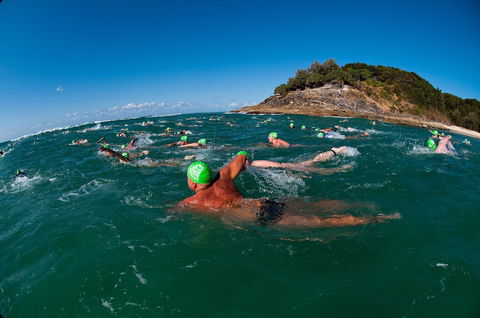The Straddie Salute Triathlon Festival - Accommodation in Bendigo 1