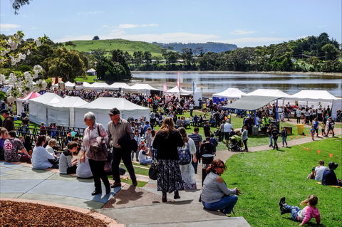 Tulip Festival Wynyard - Accommodation in Bendigo 2