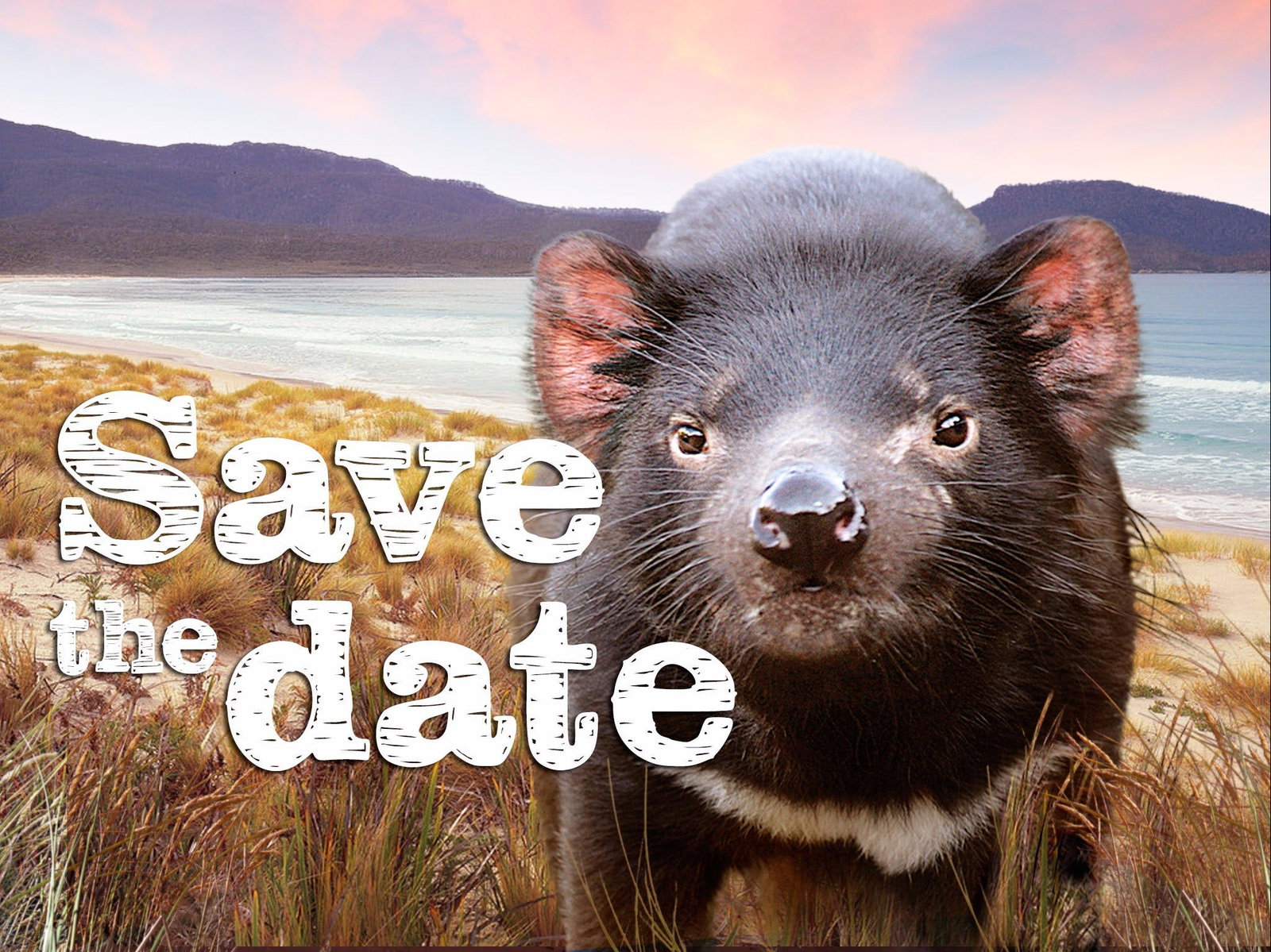 Levendale TAS Accommodation in Bendigo