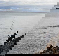 Whale Watching in Portland - Accommodation in Bendigo