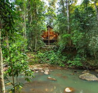 The Canopy Rainforest Treehouses and Wildlife Sanctuary - Accommodation in Bendigo