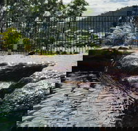 Colonial Palms Motor Inn - Accommodation in Bendigo