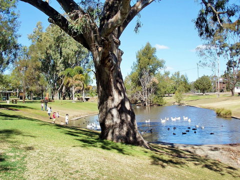 Best Western Bungil Creek Motel - Accommodation in Bendigo 4