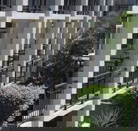 Paradiso Resort Kingscliff - Accommodation in Bendigo