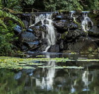 Kondalilla Eco Resort - Accommodation in Bendigo
