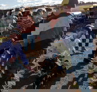 Hunter Valley Resort - Accommodation in Bendigo