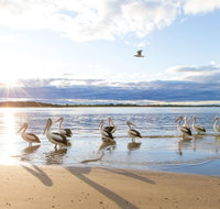 El Paso Motor Inn - Accommodation in Bendigo