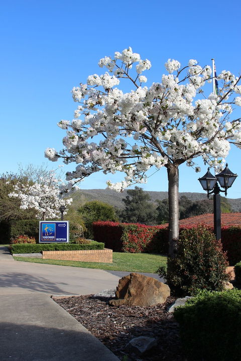 Hume Country Motor Inn - Accommodation in Bendigo 0