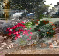 Statesman Motor Inn - Accommodation in Bendigo