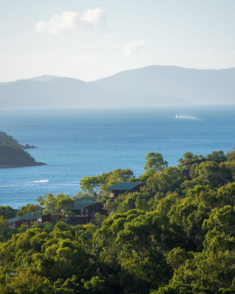 Hamilton Island Holiday Homes - Accommodation in Bendigo 0