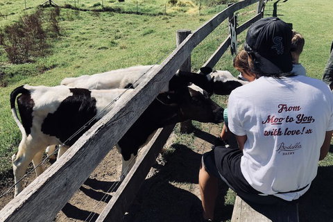 Bodalla Dairy Shed Guest Rooms - Accommodation in Bendigo 5