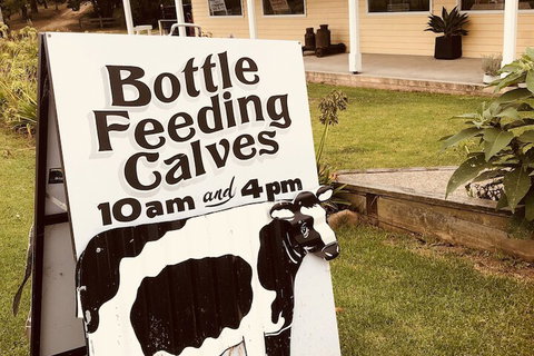 Bodalla Dairy Shed Guest Rooms - Accommodation in Bendigo 6