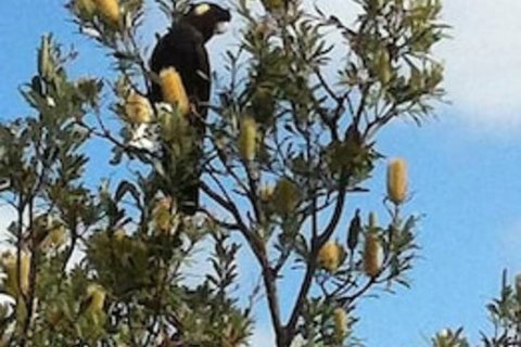 Lake Illawarra B&B - Accommodation in Bendigo 1