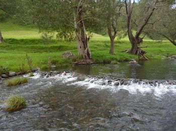 Christmas Creek Cafe & Cabins - Accommodation in Bendigo 4