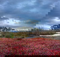 Saintys Creek Cottage - Accommodation in Bendigo