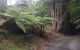 Koompartoo Retreat - thumb 2