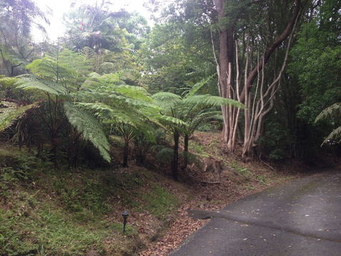 Koompartoo Retreat - Accommodation in Bendigo 2