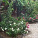Maldons Eaglehawk Motel - Accommodation in Bendigo 0