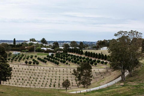 Rivendell East Gippsland - Accommodation in Bendigo 6