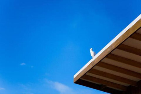 Wye Not Escape - Accommodation in Bendigo 6