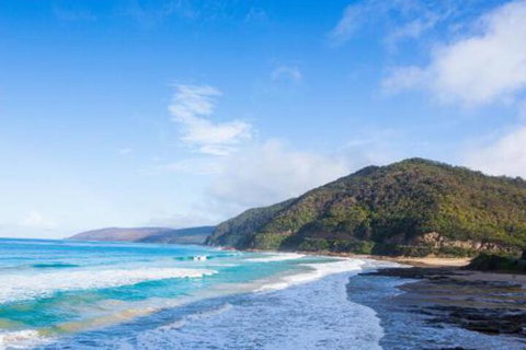 Wye Not Escape - Accommodation in Bendigo 4