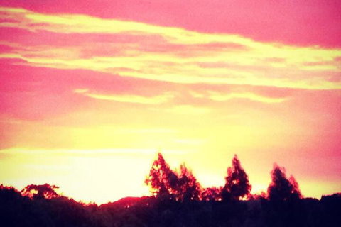 Black Duck Farm - Accommodation in Bendigo 4