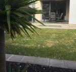 Ella House Adelaide - Accommodation in Bendigo