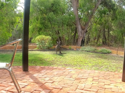 Yallingup Pet Friendly Bush Retreat - Accommodation in Bendigo 5