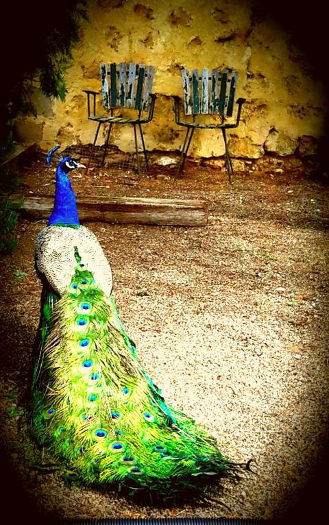 A La Folly - Accommodation in Bendigo 4