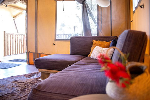 Scamander Sanctuary Holiday Park - Accommodation in Bendigo 2