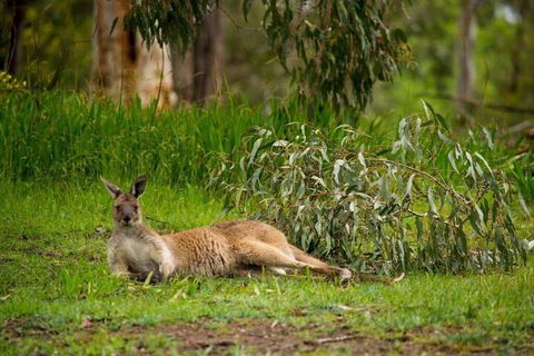 The Stirling Golf Club - Accommodation in Bendigo 1