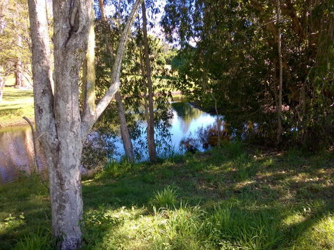 Eumundi Cottages Cottage 1 - Accommodation in Bendigo 4