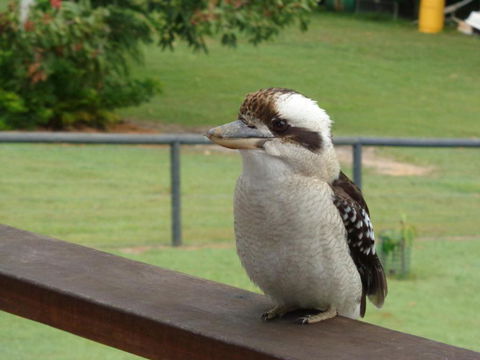Eumundi Cottages Cottage 1 - Accommodation in Bendigo 3