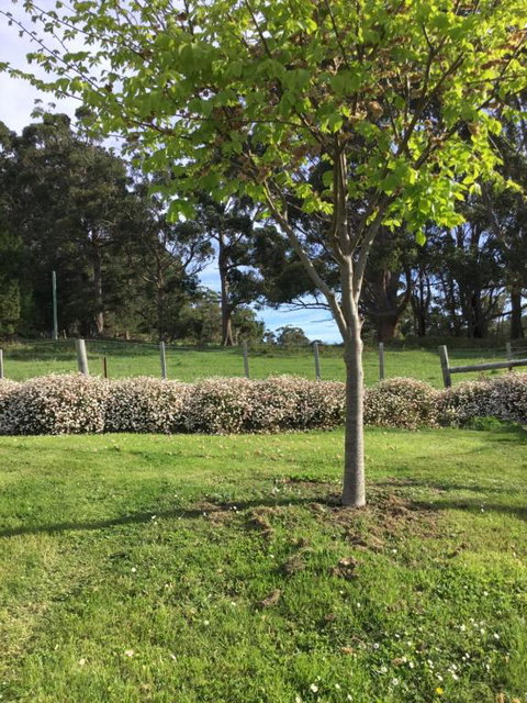 Nextdooratportarthur - Accommodation in Bendigo 3