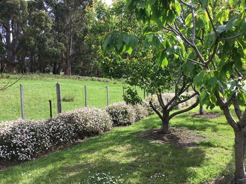 Nextdooratportarthur - Accommodation in Bendigo 1