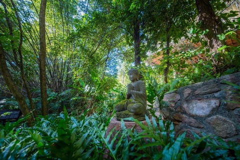 The Tree House. Treetop Living Near The Ocean Coolum Beach QLD Australia - Accommodation in Bendigo 2