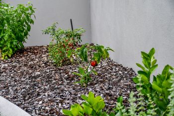 Oceanic Resort - Accommodation in Bendigo 3