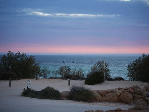 Denham Seaside Caravan Park - Accommodation in Bendigo 1