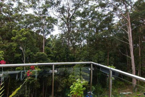 Kookaburras At Smiths - Accommodation in Bendigo 7