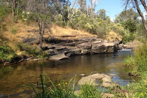 Eagles Nest - Accommodation in Bendigo 3