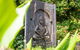 Austinmer - Cannonvale - thumb 1