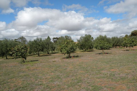 Thalia Getaway Villa - Accommodation in Bendigo 2