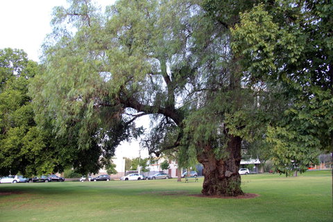 Adelaide Central Apartment - 3BR, 2Bath & Carpark - Accommodation in Bendigo 3