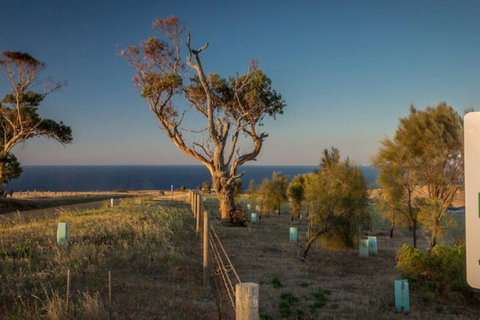 Fleurieu Coastal Retreat Lot 150 Myponga Beach Road - Accommodation in Bendigo 2