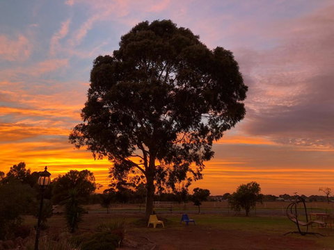 Melbourne Garden Bed & Breakfast - Accommodation in Bendigo 1